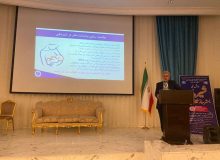 مشاوره و آموزش دقیق شیردهی به مادران در ۳۶۳ واحد بهداشتی استان ارائه میشود