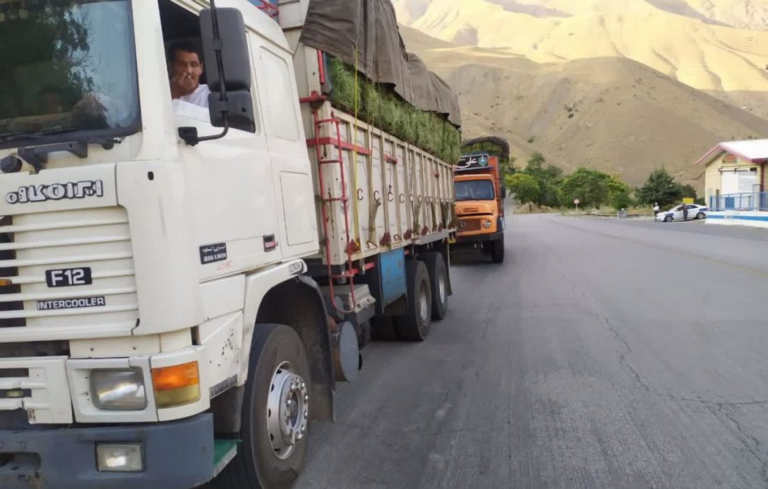 ذخیره سازی۱۷ تن علوفه زمستانه برای وحوش البرز جنوبی