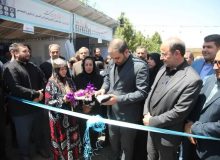 تمرکز دولت بر توسعه مشاغل خانگی است