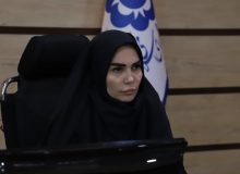 واگذاری پارک برای نمایشگاه باید با مصوبه شورای شهر باشد