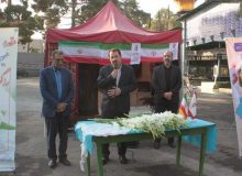 ادای احترام مدیران استان البرز به مقام شهدا