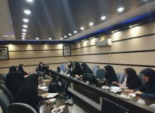 تشکیل کمیته فرهنگیان در دفتر امور زنان و خانواده ی استانداری