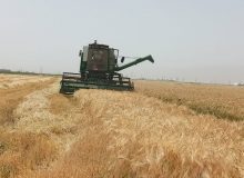 صرفه جویی۵۵۰ میلیون دلاری دولت با یک تصمیم شجاعانه/امضاهای طلایی حذف شد