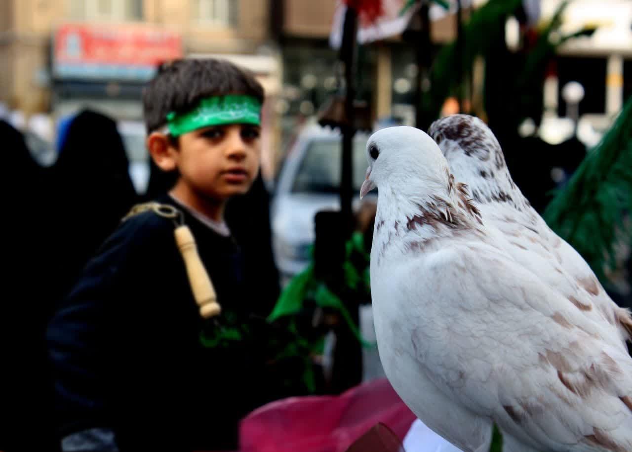 برگزیدگان اولین سوگواره عکس اربعین اداره کل زندان های استان البرز اعلام شد