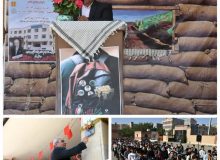 آغاز سال تحصیلی جدید در ساوجبلاغ با حضور بیش از ۴۲ هزار دانش آموز