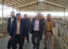 نگاه کیفی و لجستیکی به توسعه استان البرز یک ضرورت است
