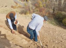 اجرای عملیات اصلاحی بذرپاشی و کپه کاری در مراتع روستای گوران شهرستان طالقان