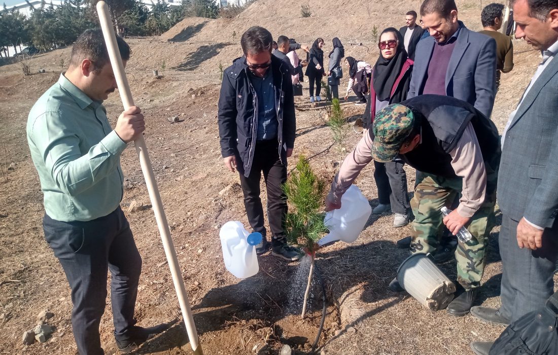 نهالکاری در شهرک صنعتی بهارستان با همکاری منابع طبیعی کرج آغاز شد