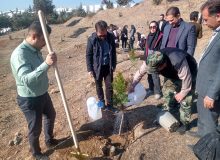 نهالکاری در شهرک صنعتی بهارستان با همکاری منابع طبیعی کرج آغاز شد
