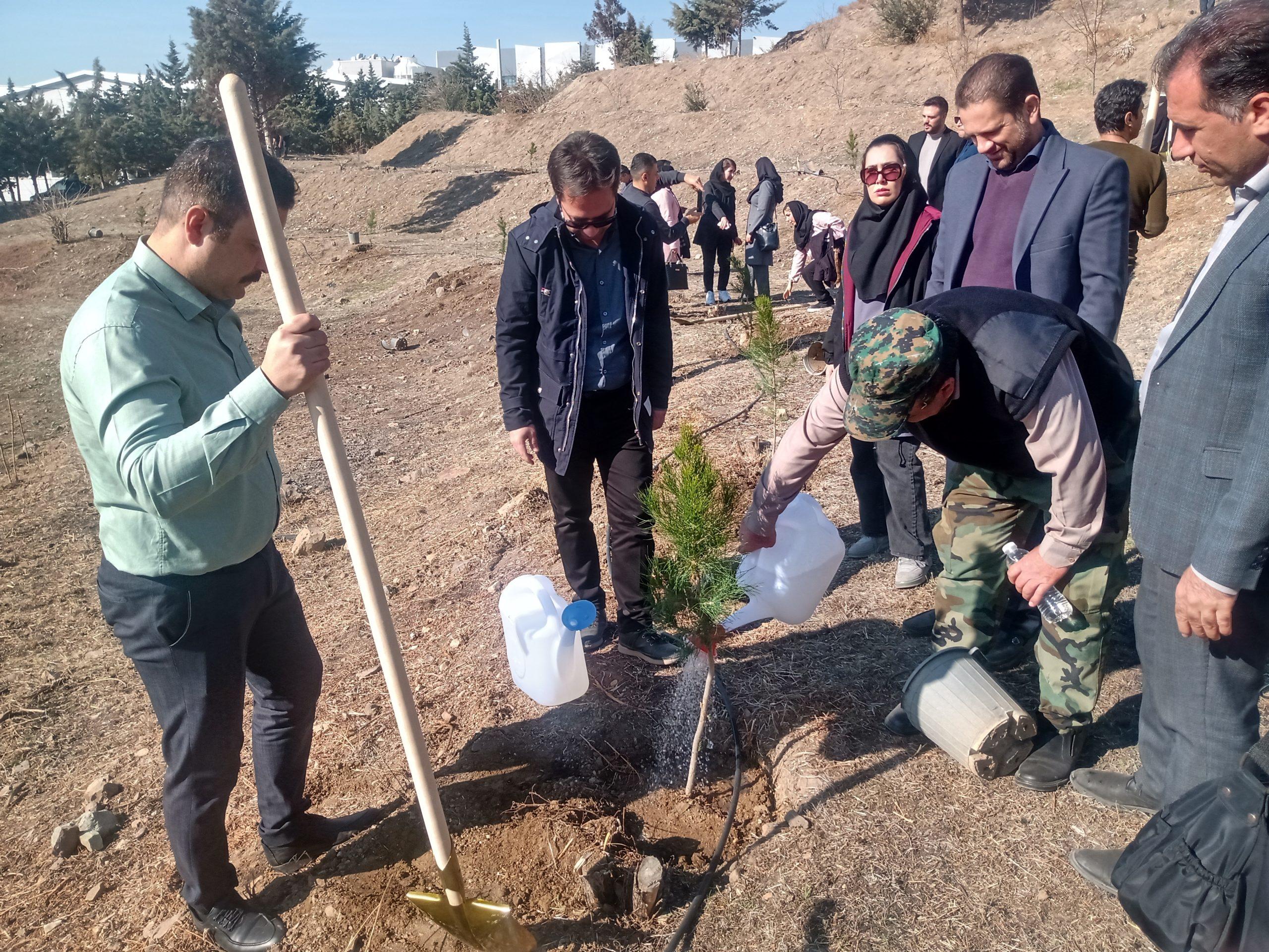 نهالکاری در شهرک صنعتی بهارستان با همکاری منابع طبیعی کرج آغاز شد