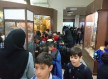 بازدیدهای پرشمار بازدیدکنندگان از موزه تاریخ طبیعی و تنوع زیستی؛ همزمان با ایام الله دهه فجر