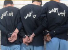 دستگیری سارقان وسایل داخل خودرو با ۷۰ فقره سرقت در البرز
