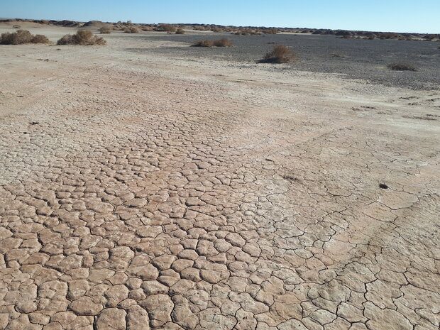 حدود ۵۵ درصد گستره کشور را اکوسیستم های بیابانی در برگرفته است