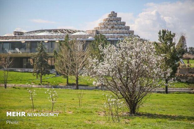 ادامه پیگیری ها برای واگذاری کاخ مروارید به میراث فرهنگی البرز