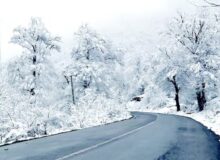 بارش برف در محورهای کوهستانی البرز/ جاده لغزنده است