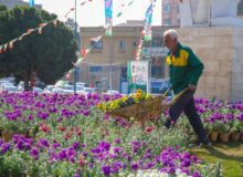 کاشت ۳۷۰ هزار گلدان در مناطق ۱۰ گانه کرج