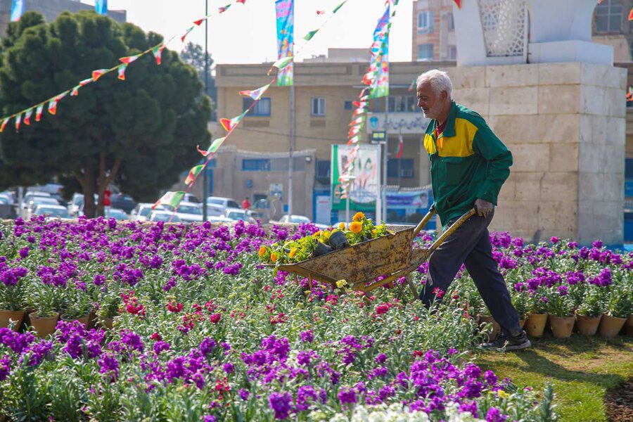 کاشت ۳۷۰ هزار گلدان در مناطق ۱۰ گانه کرج