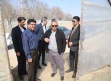 مدیرکل فرهنگ و ارشاد اسلامی البرز از نهالستان بزرگ شهرداری کرج بازدید کرد