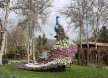 آماده‌سازی باغ گل‌ها برای یازدهمین جشنواره لاله‌های کرج
