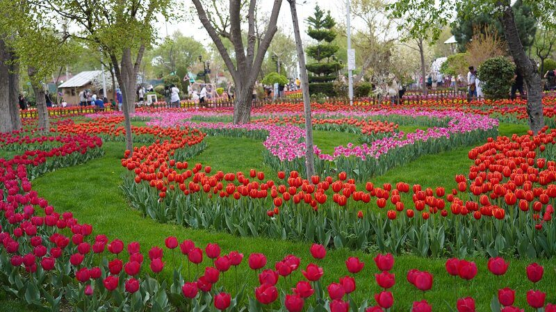 یازدهمین جشنواره لاله های کرج