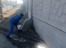 طرح طعمه‌گذاری جانوران موذی اجرا می‌شود