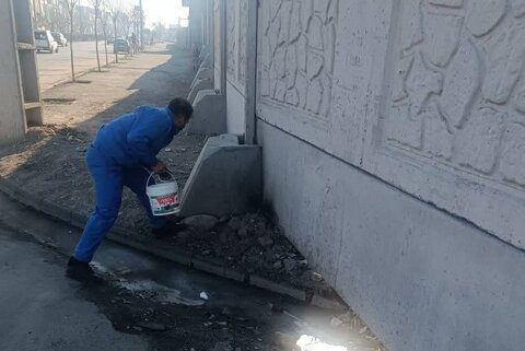 طرح طعمه‌گذاری جانوران موذی اجرا می‌شود