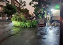 طوفان در کرج ۴۳ حادثه رقم زد/ نکات حیاتی برای مقابله با طوفان
