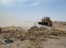 آزاد سازی ۲۰ هکتار از اراضی کشاورزی فردیس