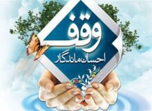 «باران مهربانی» بر دل‌های نیازمند بارید/ ردپای وقف در کوچه‌های انسانیت