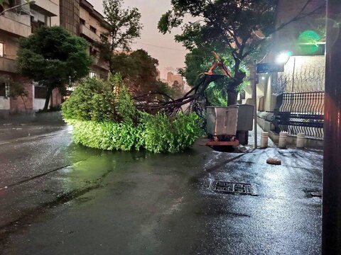 طوفان در کرج ۴۳ حادثه رقم زد/ نکات حیاتی برای مقابله با طوفان
