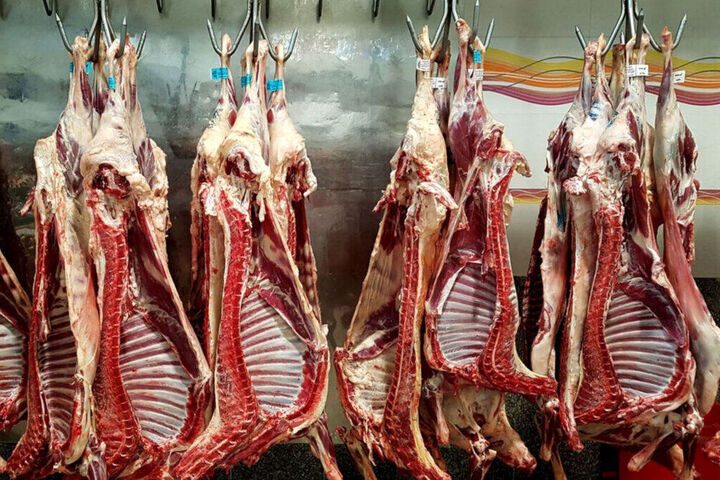 کمبود مواد پروتئینی دربازار نداریم