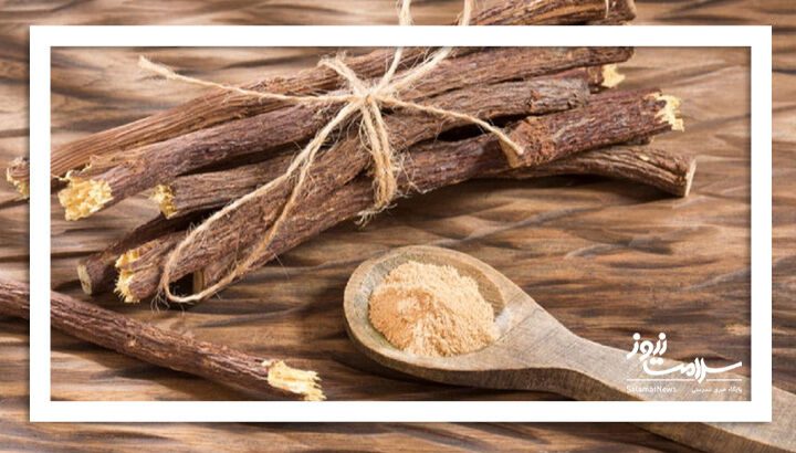 شیرین بیان؛ گیاهی تلخ با مزه‌ای شیرین برای سلامت بدن