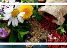 وقتی مصرف خودسرانه گیاهان دارویی فاجعه می‌آفریند
