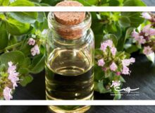روغن پونه کوهی برای این افراد مضر است
