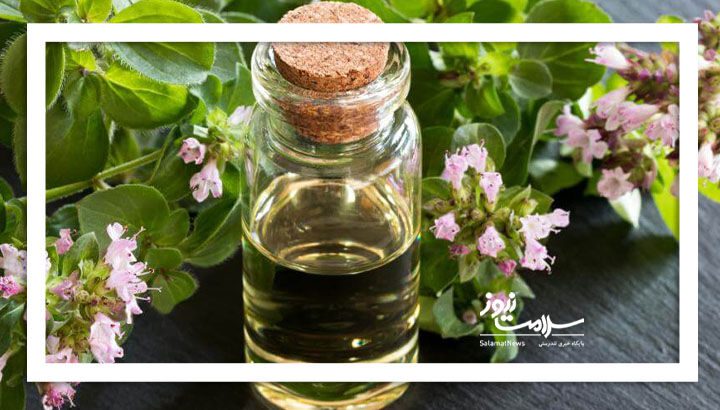 روغن پونه کوهی برای این افراد مضر است