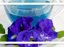 این گیاه دارویی معجزه می‌کند