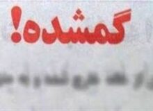 لحظات تحویل دختر گم شده به خانواده‌اش | حرکت زیبای پلیس را ببینید + فیلم
