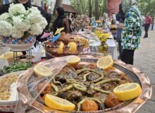 برگزاری نخستین رویداد گردشگری خوراک برپایه آلو در روستای برغان  