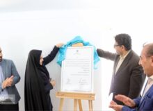 رونمایی از لوح ثبتی «مهارت ساخت ساز چنگ» در کاخ سلیمانیه کرج 