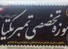 کسب رتبه سوم شاخص «فعالیت در فضای مجازی» توسط موزه تمبر یکتا در میان ۸۰۰ موزه کشور / تقدیر از مدیر موزه در میان برترین‌ها