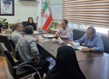 نظرآباد | کمیته اشتغال بهزیستی شهرستان نظرآباد برگزار شد