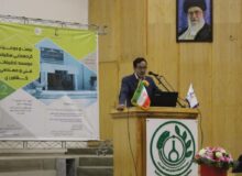 معاون وزیر جهاد کشاورزی: با وجود چالش‌ها، نگرانی برای تأمین غذا نداریم