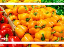 سبزیجات شگفت‌انگیزی که بیشترین ویتامین C را دارند