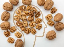 فواید گردو برای مغز