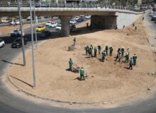 تلاش بی وقفه سبزبانان برای تکمیل احداث فضای سبز تقاطع غیرهمسطح جمهوری