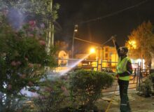 آب‌شویی روزانه ۴۵۰۰ اصله درخت و درختچه