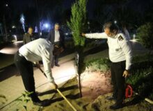 آتش‌نشانان کرجی در پارک ملی ایران کوچک سرو ایثار کاشتند