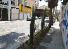 کاشت بیش از ۱۰۰۰ اصله درخت و درختچه در رجاییشهر
