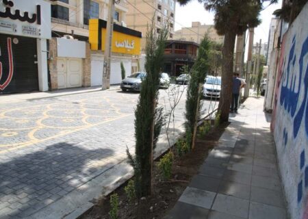 کاشت بیش از ۱۰۰۰ اصله درخت و درختچه در رجایی‌شهر