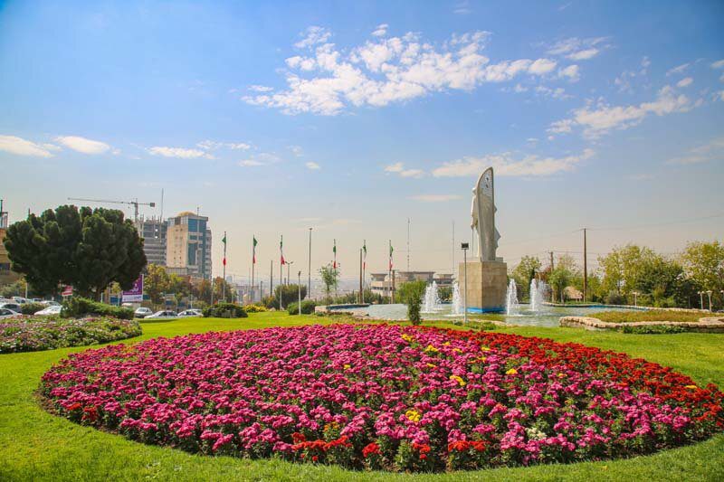 پاییز کرج با شکوفایی گلهای داوودی بهاری شد